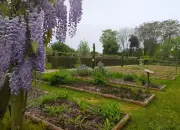 Pons : Ateliers gratuits au jardin médicinal de l'Hôpital des pèlerins en avril