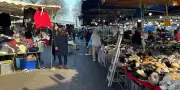 Procès à Paris : des associations exigent l'arrêt des travaux de couverture du périphérique