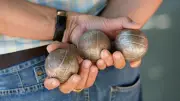Pétanque : quatre joueurs disqualifiés après un contrôle d'alcoolémie surprise en plein tournoi