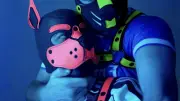 Puppy play : entre quête de soi, lien social et sexualité, une pratique en plein essor