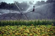 Pyrénées-Atlantiques : Pillages répétés sur les installations agricoles, les agriculteurs s'alarment
