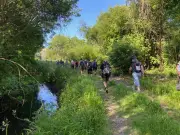 Randonnée en Haut Entre-deux-Mers : Trois parcours pour découvrir vignes et forêts