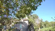 Randonnée Gourmande à Saint-Léons : Nature et Saveurs Locales