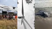 Rave-party illégale, éolien stoppé, raies sauvées : actu régions