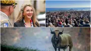 Record de baigneurs à Agde, Légion d'honneur et DNC en Ariège : l'actu du 1er janvier 2026 en Occitanie