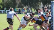 Rugby amateur : l'Excellence B de Vendres affronte Gan en barrage ce dimanche