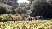 Sabran : la traditionnelle randonnée des vignerons de retour le 1er mai