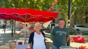 Saison des fraises lancée au Pouget : Sébastien Clavel invite à une vente directe