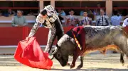 Saltillo remporte le défi taurin, Pepe Moral décroche l'unique oreille à Saint-Martin-de-Crau