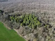 Santé et biodiversité : l'alerte sur l'inertie des pouvoirs publics au One Health Summit