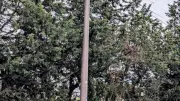 Sernhac : six semaines sans internet après un accident, la colère monte