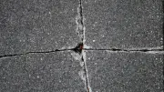 Séisme de magnitude 3,5 à 4,2 secoue les Alpes : les habitants témoignent