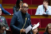 Sites néonazis : un député macroniste veut en faire interdire cinq