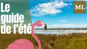 Six activités culturelles incontournables dans le Gard cet été