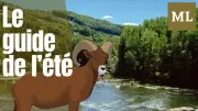Six sorties enfants en Aveyron : enquête, mythologie et nature