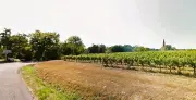 Sortie ornithologique à Saint-Vivien-de-Blaye : une balade nature et patrimoine