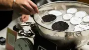 Spécialités gardoises pour les fêtes : caviar, brandade et pélardon