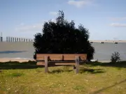 Suicide en France : 150 000 à 200 000 tentatives par an malgré les dispositifs de prévention