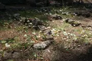 Sur l'île Sainte-Marguerite, un cimetière musulman oublié renaît comme lieu de mémoire