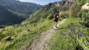 Tarn Valley Trail : 4e édition avec une nouvelle course et 3500 coureurs attendus