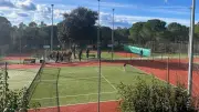 TC Congénies : une fin de saison riche en événements pour le tennis local