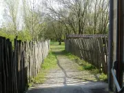 Terres d'Oiseaux à Braud-et-Saint-Louis : un mois d'avril dédié à la découverte ornithologique