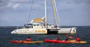 Tip Top One : le maxi-catamaran qui a marqué le bassin d'Arcachon