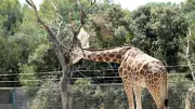 Top 5 des activités gratuites à Montpellier pour un été sans se ruiner