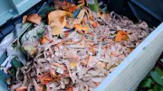Tous au compost : la Lozère mobilisée pour le compostage de proximité jusqu'au 12 avril