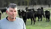 Traditions camarguaises en danger : le cri d'alarme d'un manadier