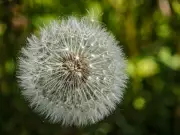 Transition écologique : pourquoi l'émotion, et non la connaissance, est la clé de l'action