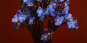 Trois fleurs printanières à offrir pour les beaux jours
