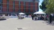 Un marché de printemps solidaire et pédagogique au lycée Mermoz à Béziers