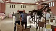 Un poisson d'avril géant : une vache métallique remplace un dinosaure à Saint-Georges-d'Orques
