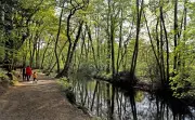 Un violent orage déclenche un feu de forêt à Saint-Paul-lès-Dax, rapidement maîtrisé