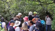 Une balade en garrigue pour dénoncer le projet routier Conim menaçant la biodiversité