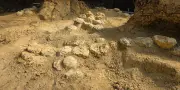 Une incroyable mine d'œufs de dinosaures découverte dans l'Hérault