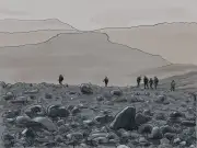 Une journée dans les Terres australes : entre manchots, marche et régulation d'espèces
