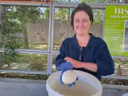 Une première mozzarella bio du Lot-et-Garonne voit le jour grâce à un couple reconverti