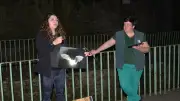 Une soirée dédiée aux chauves-souris à la source du Jaur dans l'Hérault