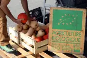 Var : Agribiovar appelle les nouveaux maires à développer les cantines bio pour protéger santé et environnement