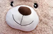Var : un doudou perdu retrouvé onze ans plus tard, il avait côtoyé Brad Pitt