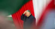 Victoire écrasante de Tisza en Hongrie : Bardella loue Orban, les électeurs sanctionnent