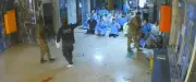Vidéo d'une exécution sommaire dans un hôpital syrien choque les ONG
