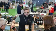 Vin bio d'Occitanie : cap sur l'export pour séduire le grand public