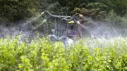 Viticulture en Occitanie : un viticulteur dénonce la triche généralisée face aux normes