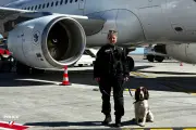 Vroom, le premier Springer détecteur d'explosifs, rejoint l'aéroport de Nice