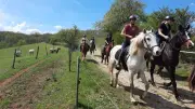 Week-end équestre sur le Lévézou : endurance et randonnées
