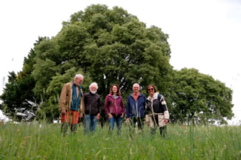 131 arbres remarquables recensés en Charente-Maritime par Nature Environnement 17