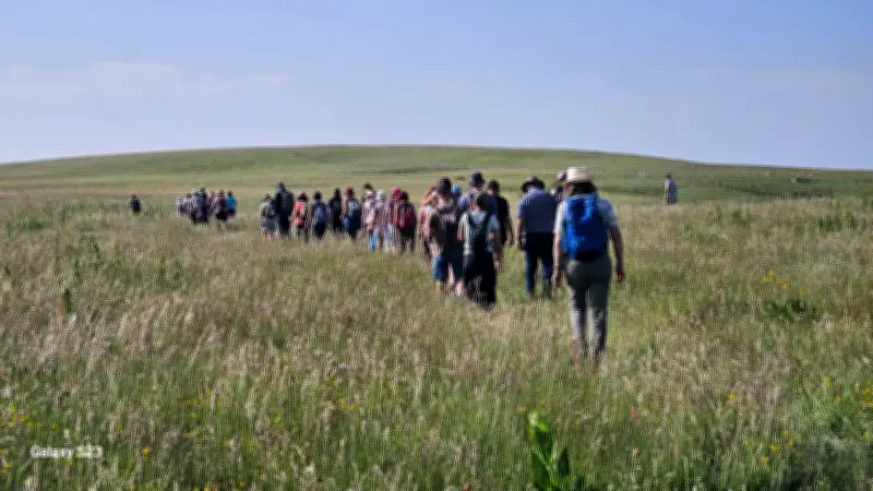 17 balades gratuites en Lozère pour l'année des parcours pastoraux